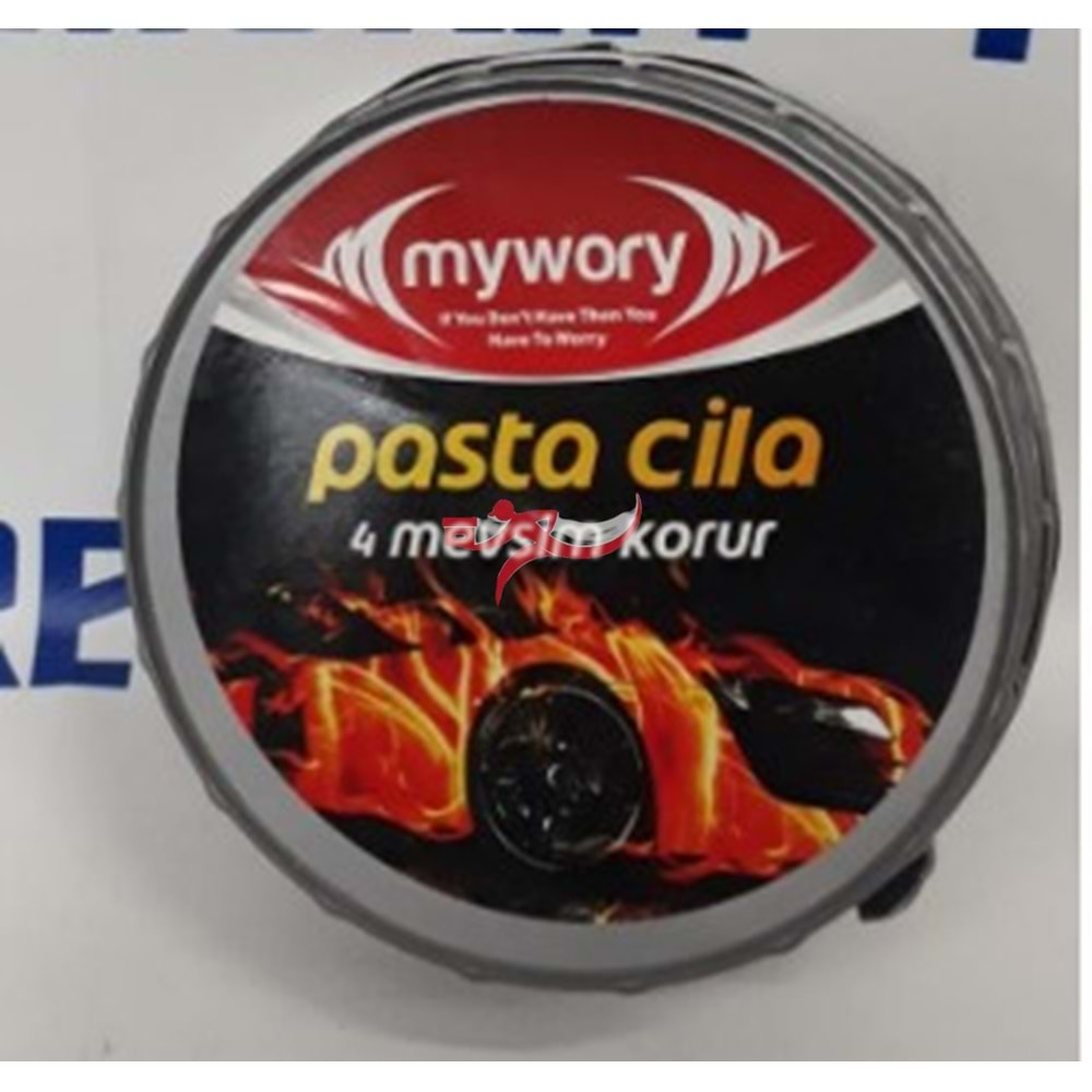 OTO PASTA CİLA 250 GR